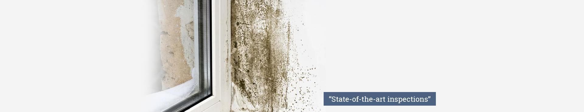 ACC Environmental
